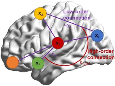 Estimating High-Order Brain Functional Networks in Bayesian View for Autism Spectrum Disorder Identification